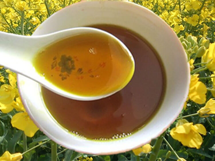 rapeseed oil processing