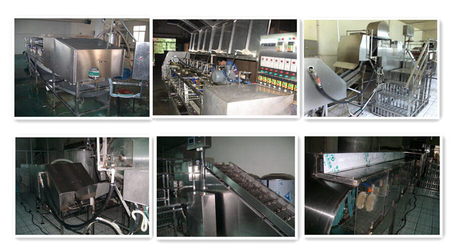 fish gutting machine