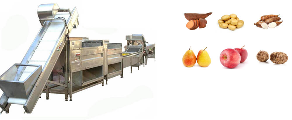 fruit vegetable processing line