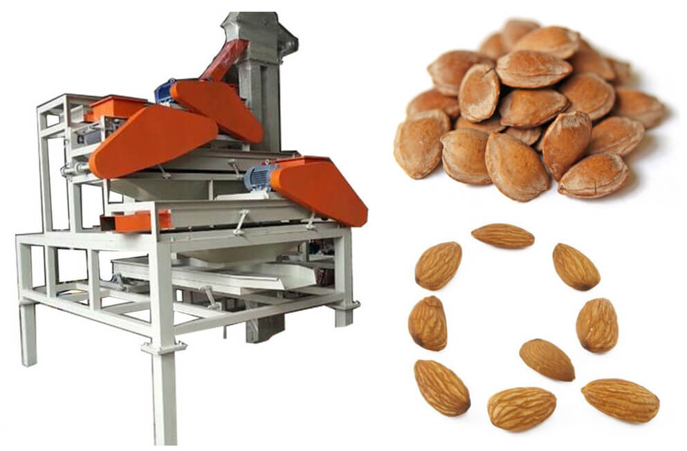 factory price almond shelling machine