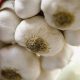 garlic processing