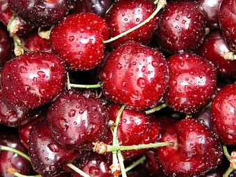 wet fruit fresh delicious cherry